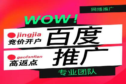 SEM运营公司经典案例点评